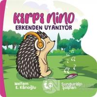 Kirpi Nino Erkenden Uyanıyor