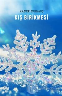 Kış Birikmesi