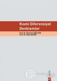 Kısmi Diferensiyel Denklemler