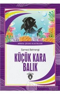 Küçük Kara Balık