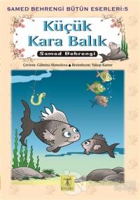 Küçük Kara Balık