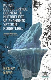 Kutup Bölgelerinde Egemenlik Mücadelesi ve Ekonomik Yatırım Fırsatları