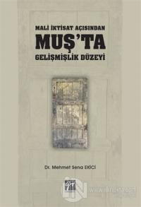Mali İktisat Açısından Muş'ta Gelişmişlik Düzeyi