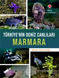 Marmara - Türkiye'nin Deniz Canlıları (Ciltli)