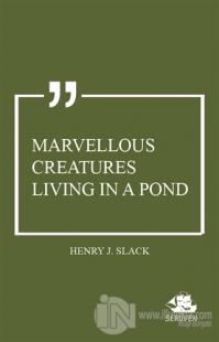 Marvellous Creatures Living in a Pond