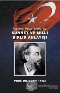 Mehmet Feyzi Efendi'de Sünnet ve Milli Birlik Anlayışı