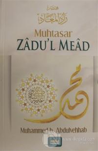 Muhtasar Zadu'l Mead