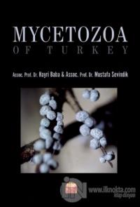 Mycetozoa of Turkey