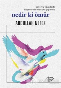 Nedir ki Ömür