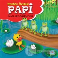 Papi Sayıları Öğreniyor - Mutlu Ördek
