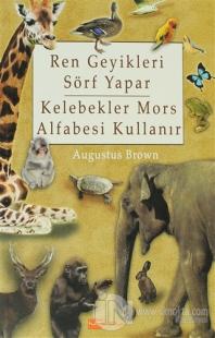 Ren Geyikleri Sörf Yapar Kelebekler Mors Alfabesi Kullanır