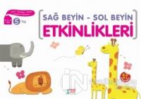 Sağ Beyin - Sol Beyin Etkinlikleri (5 Yaş)