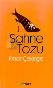 Sahne Tozu