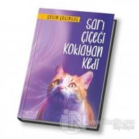Sarı Çiçeği Koklayan Kedi