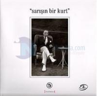 Sarışın Bir Kurt