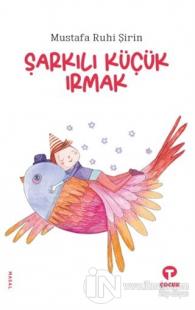 Şarkılı Küçük Irmak