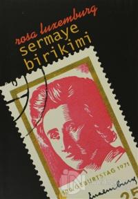 Sermaye Birikimi