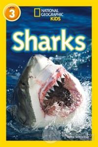 Sharks (Readers 3)