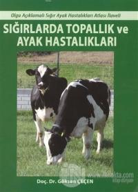 Sığırlarda Topallık ve Ayak Hastalıkları
