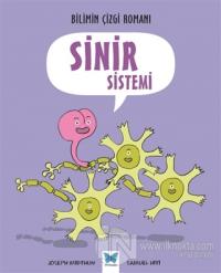 Sinir Sistemi