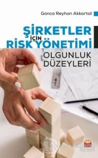 Şirketler İçin Risk Yönetimi - Olgunluk Düzeyleri