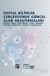 Sosyal Bilimler Çerçevesinde Güncel Alan Araştırmaları