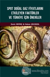 Spot Doğal Gaz Fiyatlarını Etkileyen Faktörler ve Türkiye İçin Öneriler