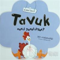 Tavuk Nasıl Yaratılıyor?