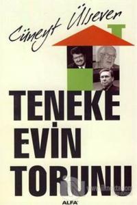 Teneke Evin Torunu