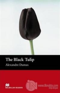The Black Tulip Stage 2