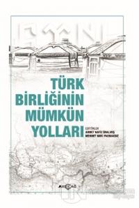 Türk Birliğinin Mümkün Yolları