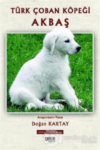 Türk Çoban Köpeği Akbaş
