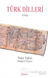 Türk Dilleri Giriş