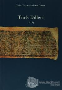 Türk Dilleri Giriş