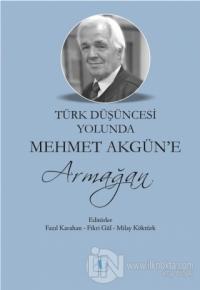 Türk Düşüncesi Yolunda Mehmet Akgün'e Armağan