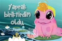 Yaprak Biriktirdim Oldu