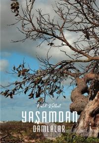 Yaşamdan Damlalar