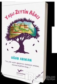 Yaşlı Zeytin Ağacı