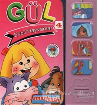 Gul 4 Evcil Hayvanlar 10 Indirimli Ugur Kose
