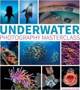 Underwater Photography Masterclass Alex Mustard