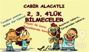 2, 3, 4'lük Bilmeceler