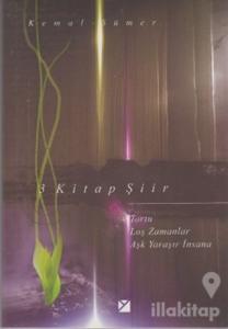3 Kitap Şiir