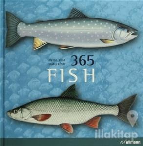 365 Fish (Ciltli)