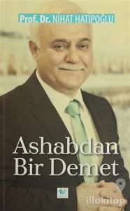 Ashabdan Bir Demet