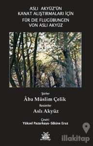 Aslı Akyüz'ün Kanat Çalışmaları İçin