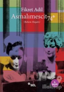 Asmalımescit 74