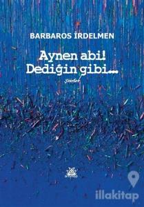 Aynen Abi! Dediğin Gibi