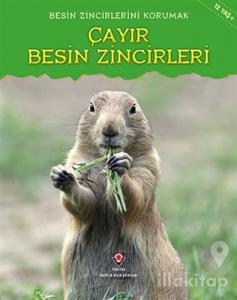 Besin Zincirlerini Korumak Çayır Besin Zincirleri