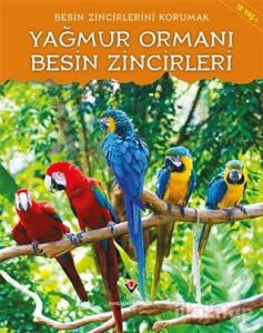 Besin Zincirlerini Korumak - Yağmur Ormanı Besin Zincirleri