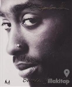 Betonda Yeşeren Gül